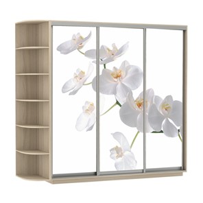 Шкаф 3-х створчатый Экспресс со стеллажом, 2100х600х2200, Орхидея белая/шимо светлый в Астрахани