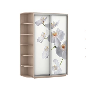 Шкаф 2-х створчатый Экспресс 1700x600x2200, со стеллажом, Орхидея белая/дуб молочный в Астрахани