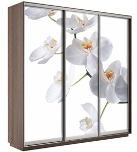 Шкаф 3-х створчатый Экспресс 2100х600х2200, Орхидея белая/шимо темный в Астрахани