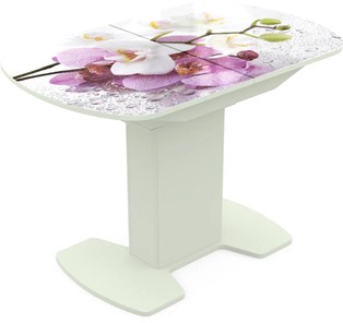 Кухонный стол раскладной Корсика исп. 1 Фотопечать (Цветы №44) 1100(1415)*700 в Астрахани