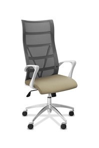 Кресло для руководителя Топ X белый каркас, сетка/ткань TW / серая/светло-серая в Астрахани