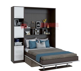 Кровать-шкаф с диваном DetalMaster Бела 1, с полкой ножкой с 1 пеналом, 1600х2000, венге/белый в Астрахани