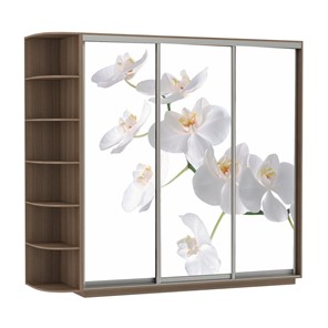 Шкаф 3-створчатый Экспресс со стеллажом, 2100х600х2200, Орхидея белая/шимо темный в Астрахани