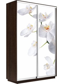 Шкаф 2-дверный Экспресс 1400x600x2400, Орхидея белая/венге в Астрахани