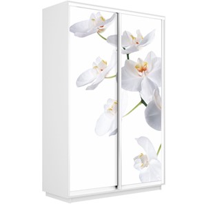 Шкаф Экспресс 1600x450x2400, Орхидея белая/белый снег в Астрахани
