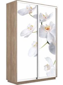 Шкаф 2-створчатый Экспресс 1600x450x2400, Орхидея белая/дуб сонома в Астрахани