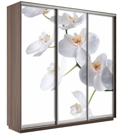 Шкаф 3-дверный Экспресс 1800х600х2200, Орхидея бела/шимо темный в Астрахани - изображение