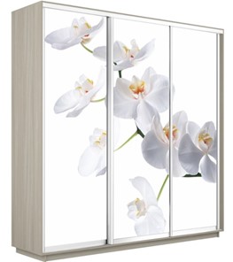 Шкаф 3-дверный Экспресс 2100х600х2200, Орхидея белая/шимо светлый в Астрахани