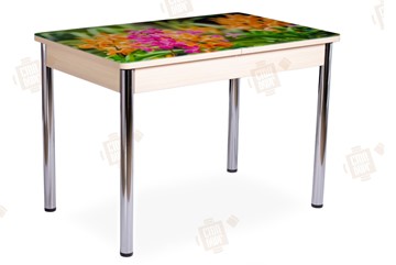 Кухонный раскладной стол Айсберг-02 СТФ, Дуб ЛДСП/полевые цветы/ноги хром прямые в Астрахани