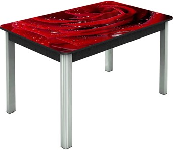 Обеденный раздвижной стол Гамбург исп. Мини, ноги метал. крашеные №23, Фотопечать (Цветы №39) в Астрахани