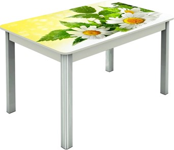 Обеденный раздвижной стол Гамбург исп.2 ноги метал. крашеные №23, Фотопечать (Цветы №3) в Астрахани