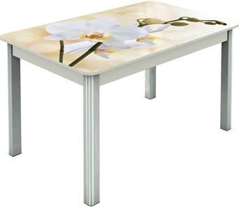 Кухонный стол раскладной Гамбург исп.2 ноги метал. крашеные №23, Фотопечать (Цветы №5) в Астрахани