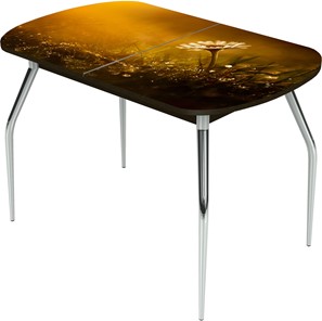 Обеденный раздвижной стол Ривьера исп.2 ноги метал. крашеные №24 Фотопечать (Цветы №43) в Астрахани