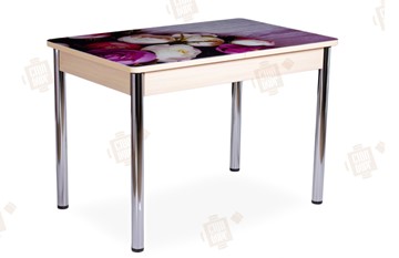 Кухонный стол раскладной Айсберг-01 СТФ, дуб/фотопечать пионы/ноги хром прямые круглые в Астрахани