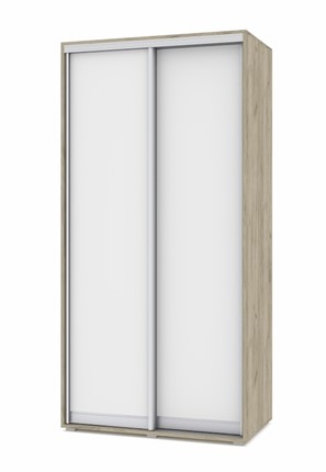 Шкаф 2-х створчатый О41, Серый дуб - Белый в Астрахани - изображение