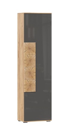 Шкаф одностворчатый Фиджи с декоративными накладками 659.300, Дуб Золотой/Антрацит в Астрахани - изображение