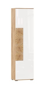 Шкаф одностворчатый Фиджи с декоративными накладками 659.300, Дуб Золотой/Белый в Астрахани