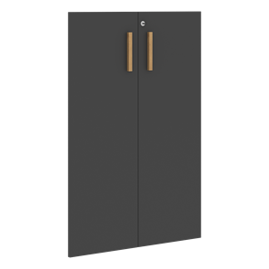 Средние двери для шкафов с замком FORTA Черный Графит FMD 40-2(Z) (794х18х1164) в Астрахани